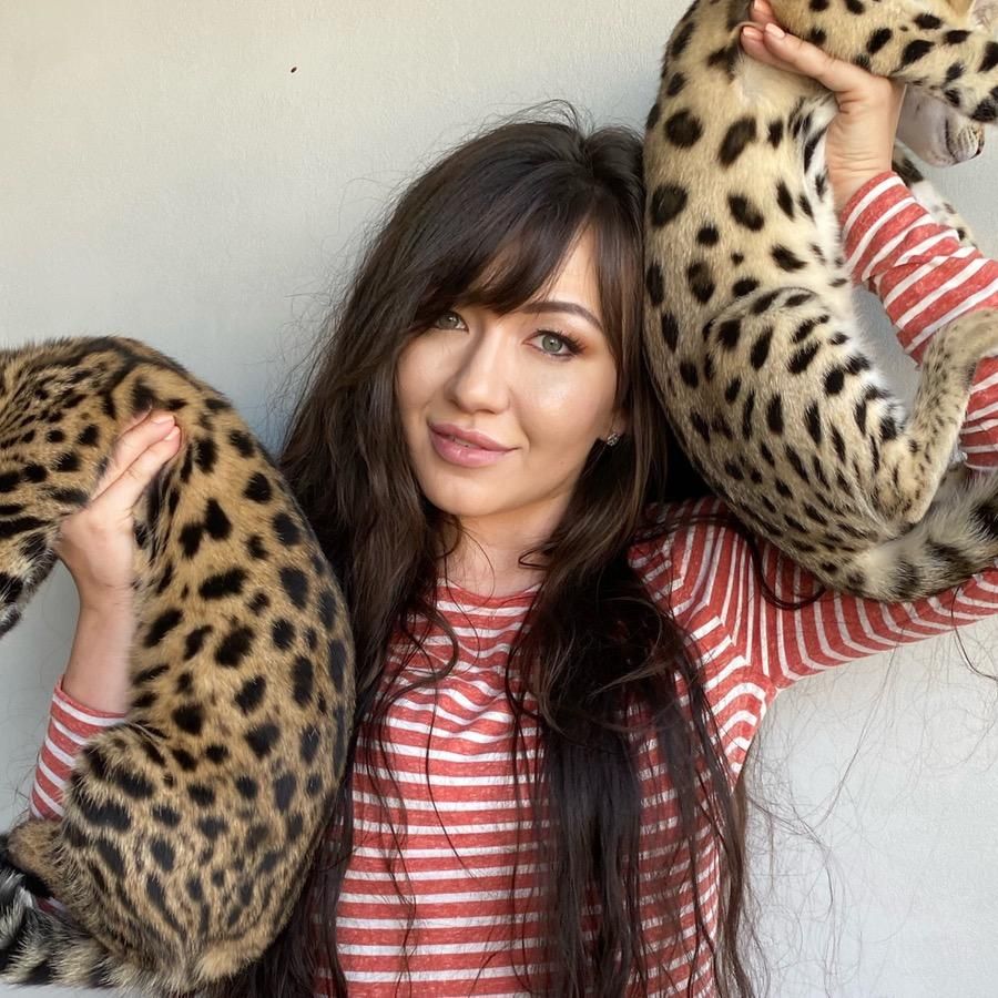 Cats mom from Ukraine 🇺🇦