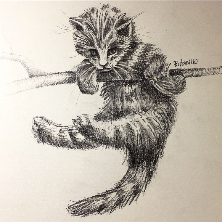 Amo ❤️ desenhar!
