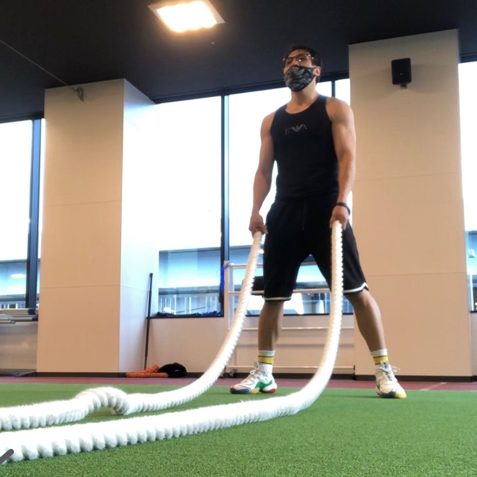 ファニーペッツ（funny pets）