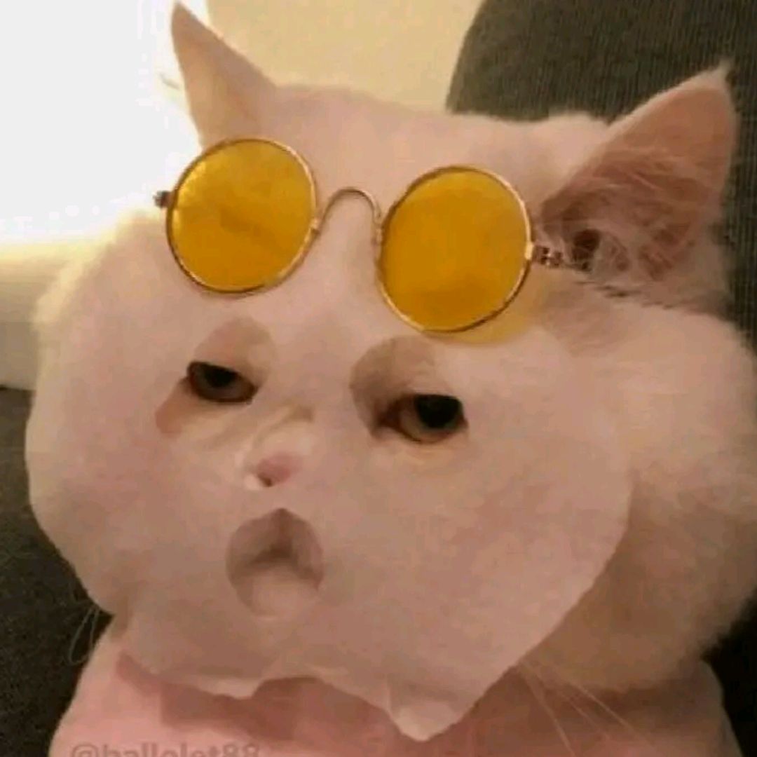 ♑♕︎𝙨♕︎♑
