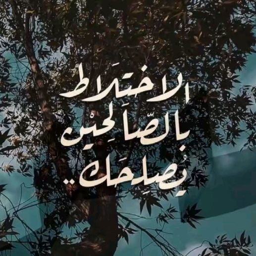 ‹ 𝑆𝐴𝐿𝐼𝐻 | 🇮🇶💛