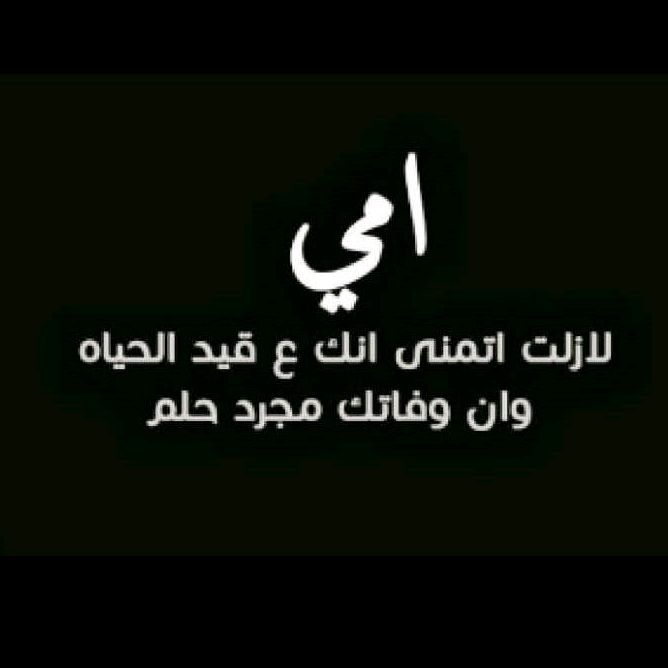المصورة صابرين السراي
