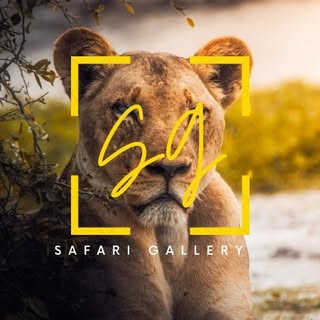 SAFARI GALLERY 🦁