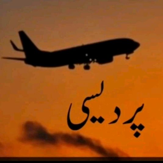 پردیسی لوگ✈️