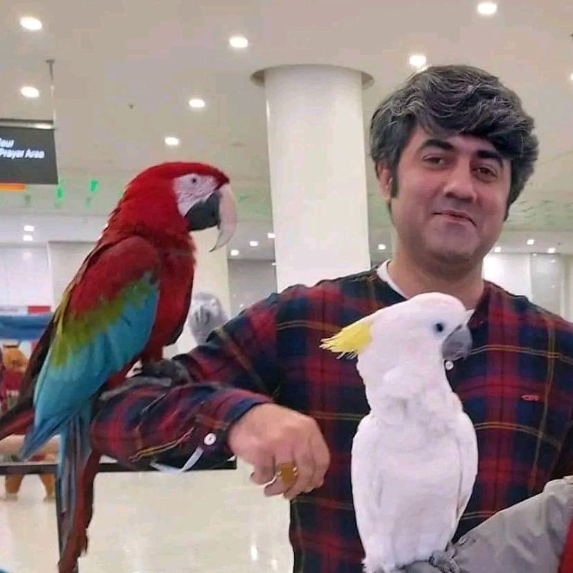 Sajjad Saleem Diaries