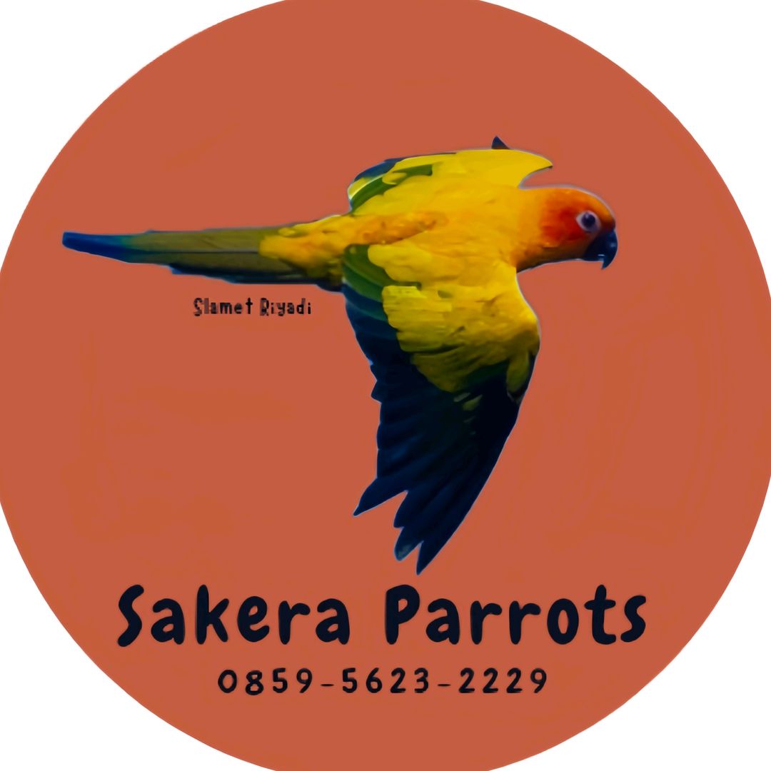 Sakera Parrots
