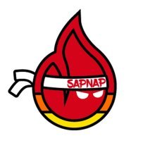 Sapnap