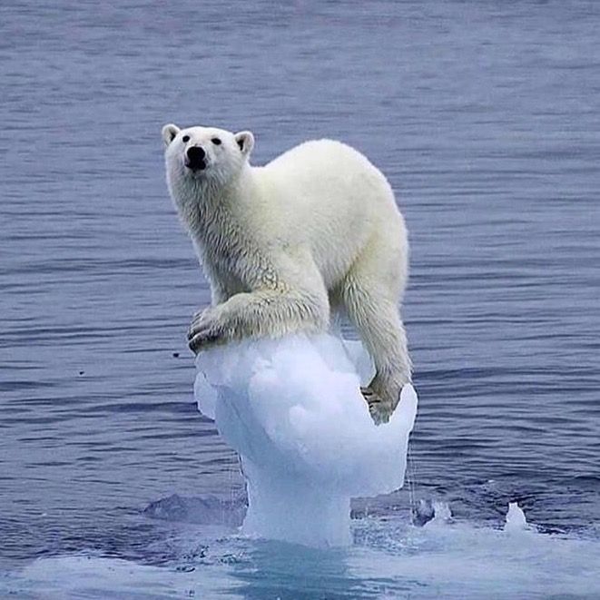 save_our_earth