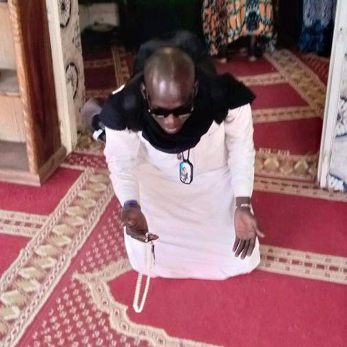 basir afia