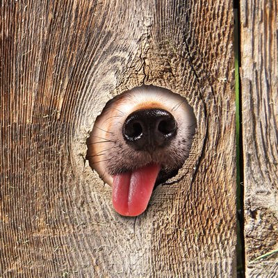 Inspirational Quotes