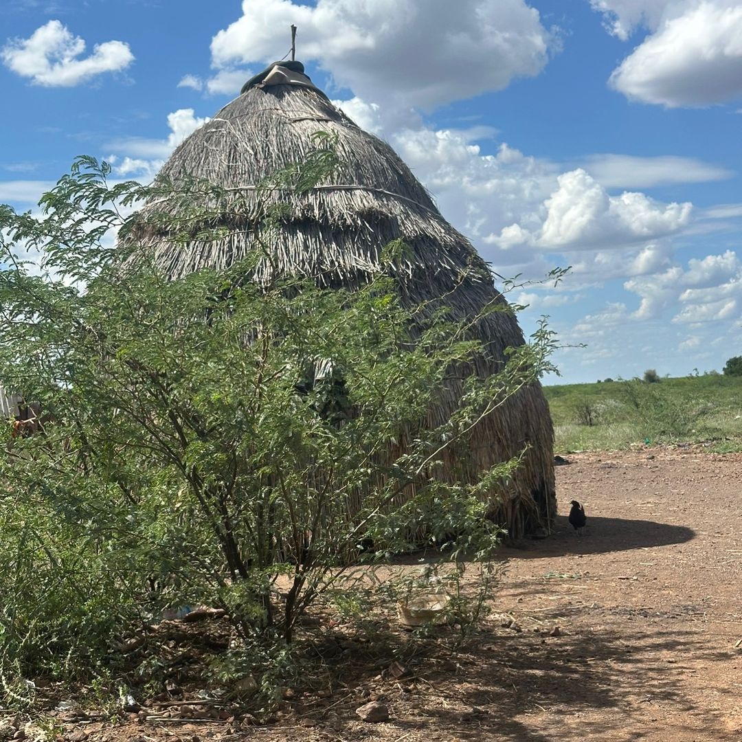 Shangazi Foundation Back Up