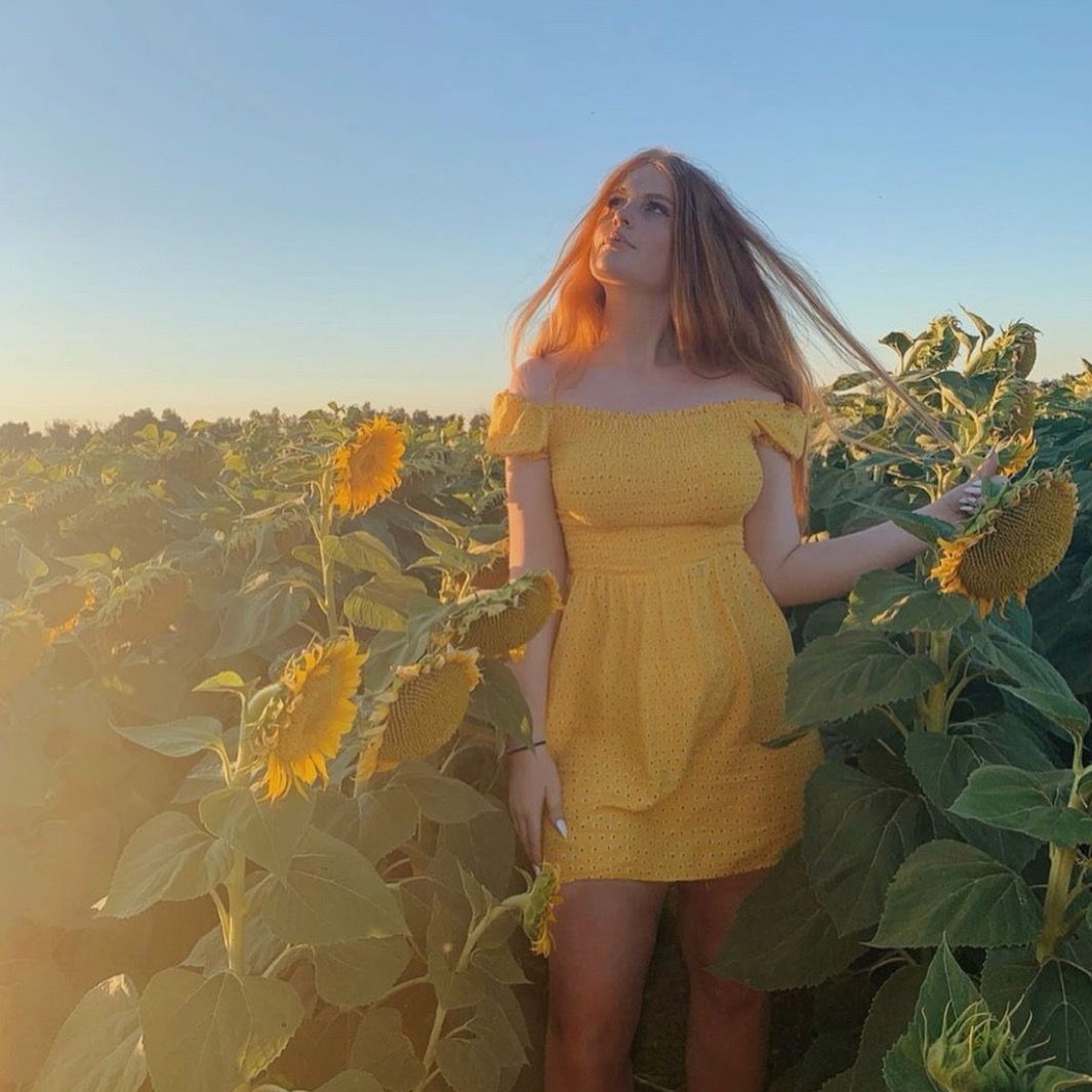 🐚🐝