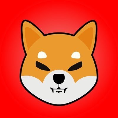 Shiba Bullish Calls