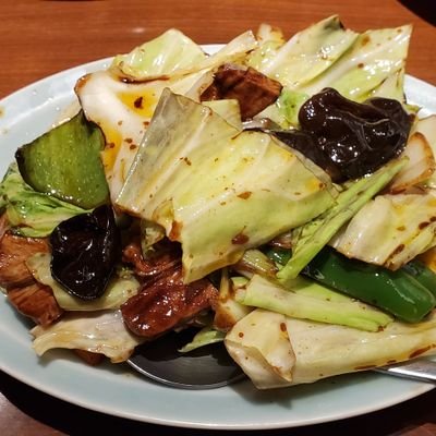 白井悠介