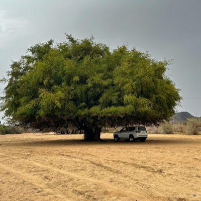 وناسة البر