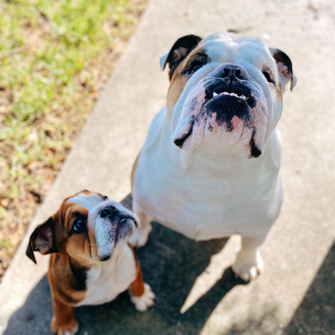 Shug & Bruce