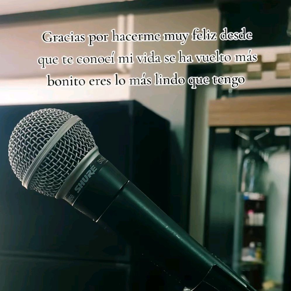 S I E M P R E  F I E L