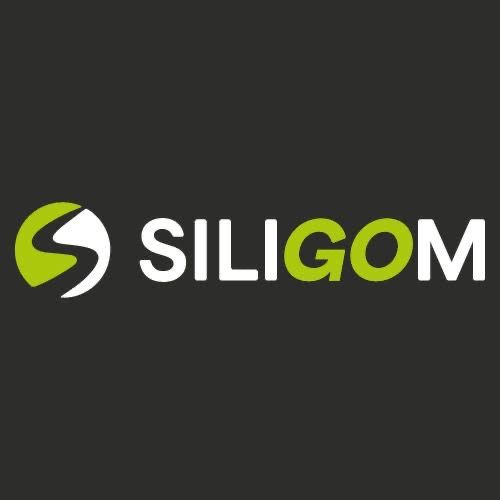 SiliGom