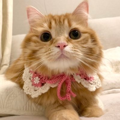 ちくわ