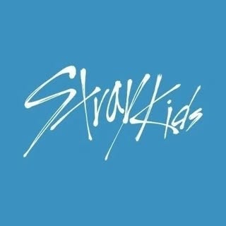 SKZ 스트레이 키즈 / fanpage