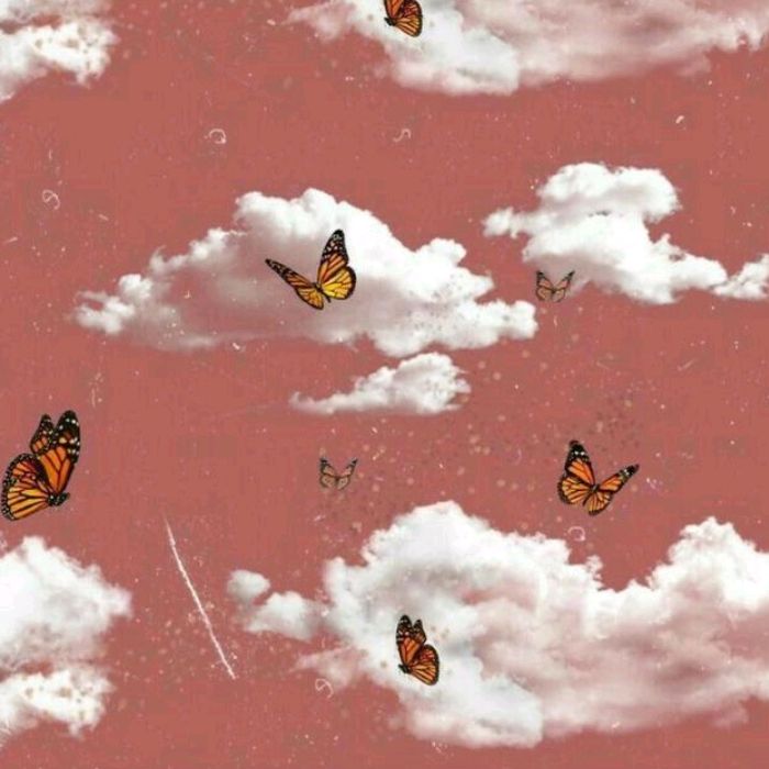 💗Somos 1M<3😭💐