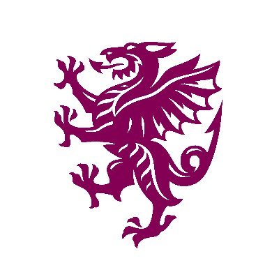 Somerset Cricket 🏆
