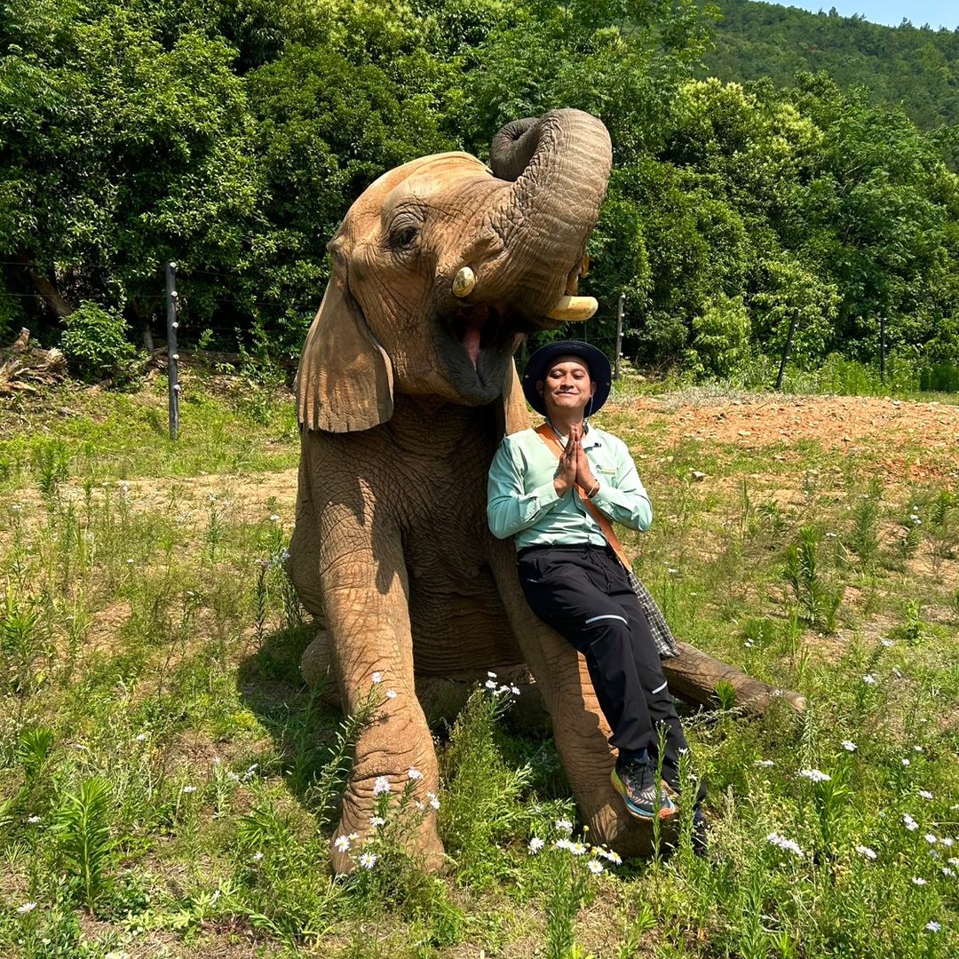 สมคิดช้างแอฟริกาแสนซน🤪🐘