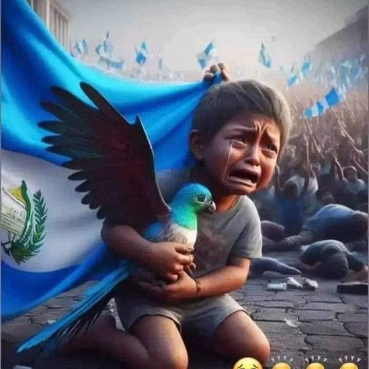 @.El baluk chapin 502