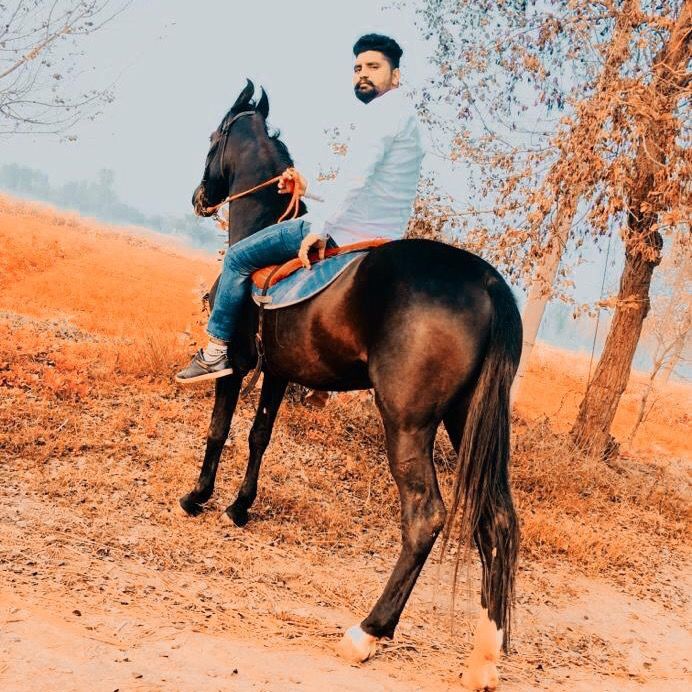 Sony singh
