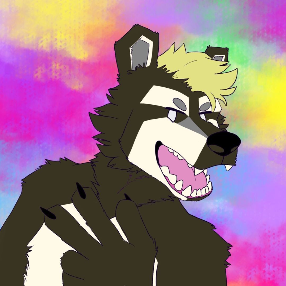 Sopero_Raccoon
