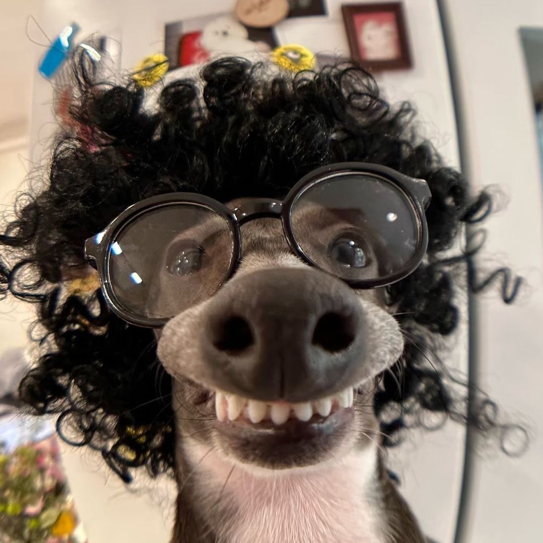 𝐀𝐥𝐞𝐱||𝐒𝐨𝐫𝐧𝐠 (🕶️)
