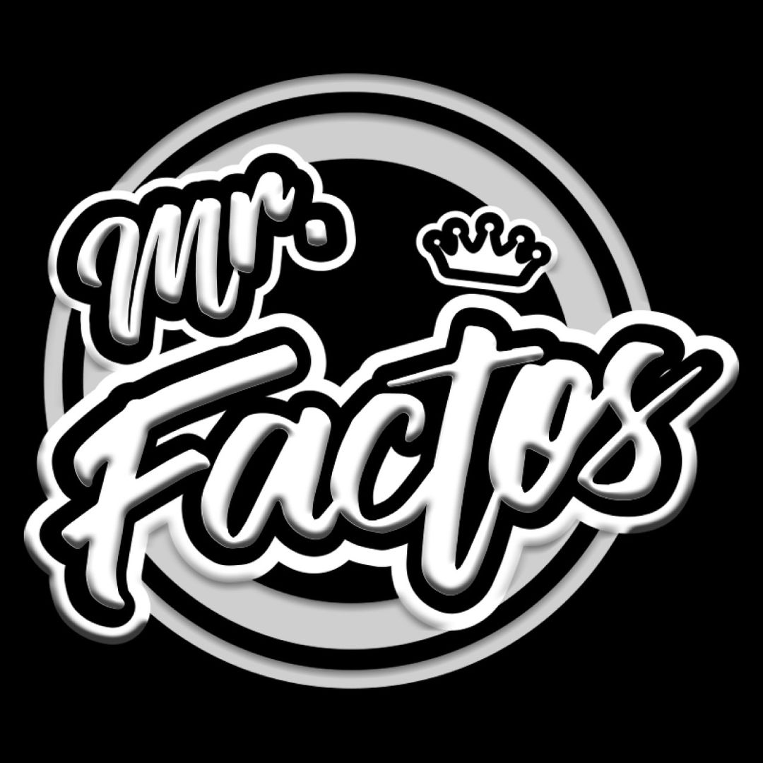 Mr factos (arangoski)