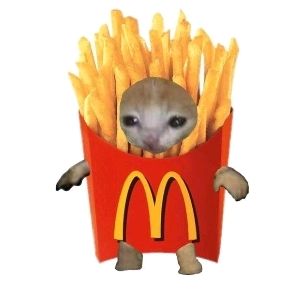 𝑺𝒕𝒄