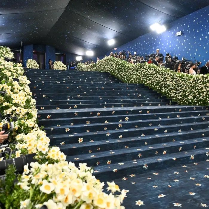 stars.on.red.carpet