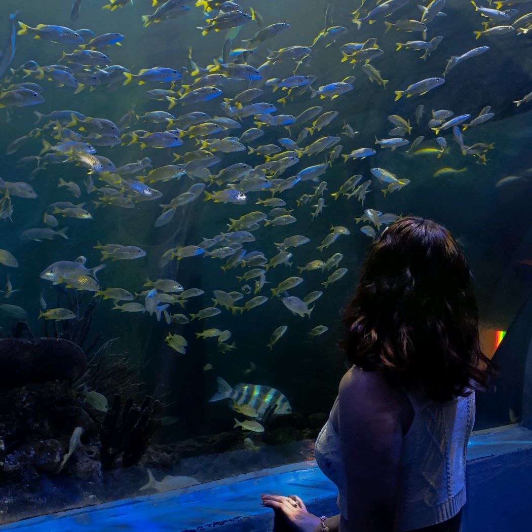 Stefanie's inspiration