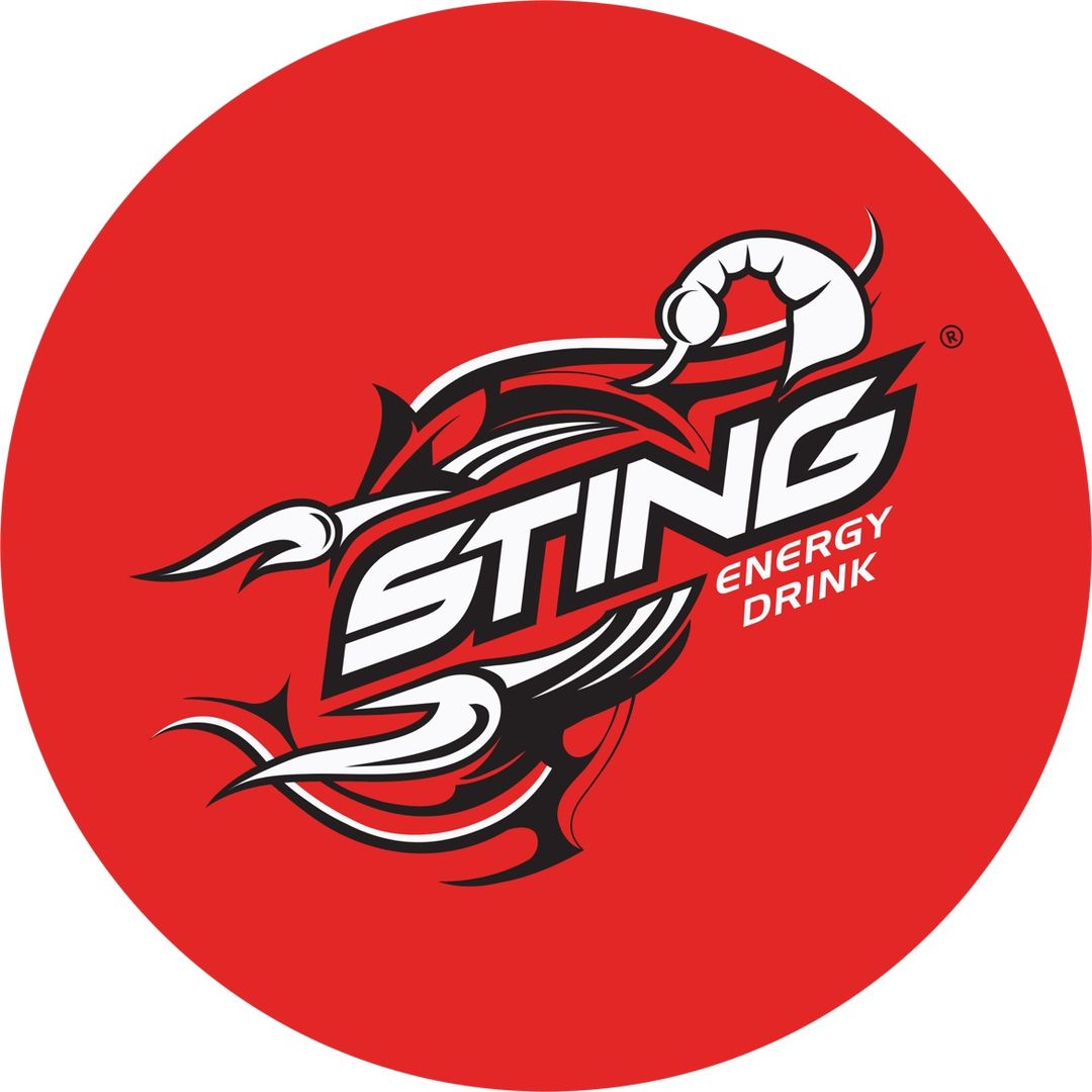 stingenergyegypt