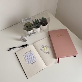 Studyyfairyy | Studying + Productivity