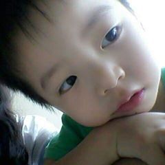 sust vin lai