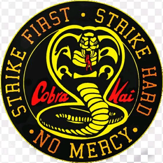 🐍Cobra Kai Video clip 🐍