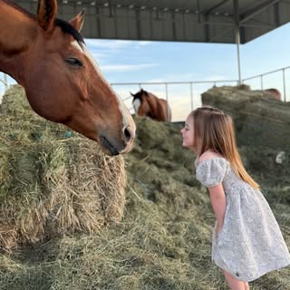 Mayzee & Her Horses 🐴 BarnLife
