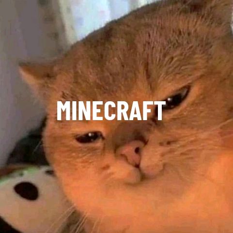 kucing putih craft