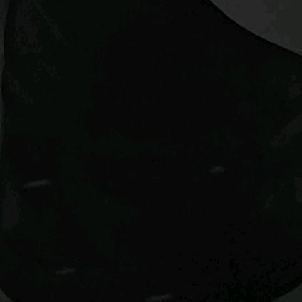 🖤🖤🖤