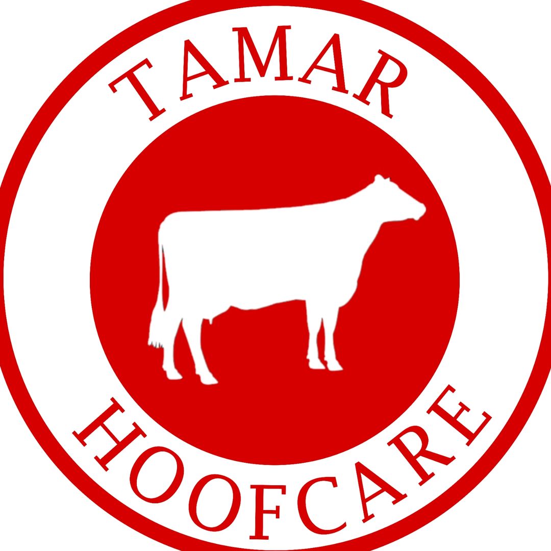 TamarHoofcare