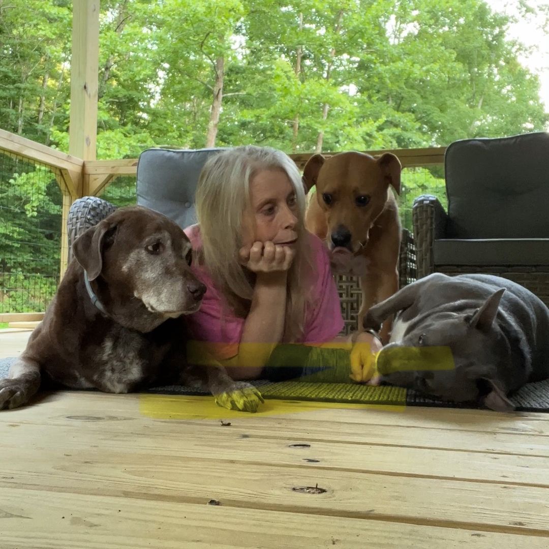 Tammie | and the Dogs