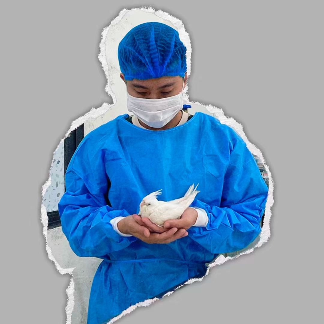 Tấn Vẹt vui vẻ