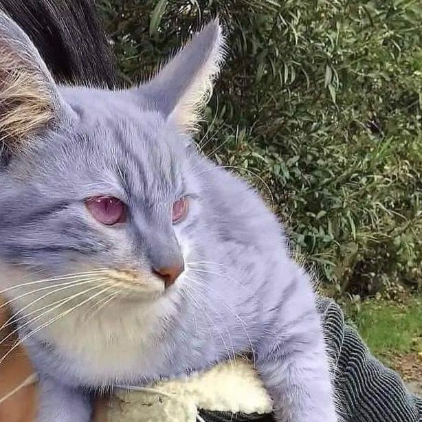 Message From Universe 🕉️