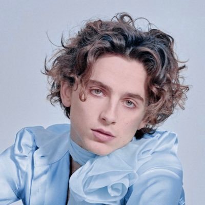 Timothée Chalamet Updates