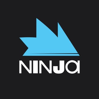 Team NINJA™️