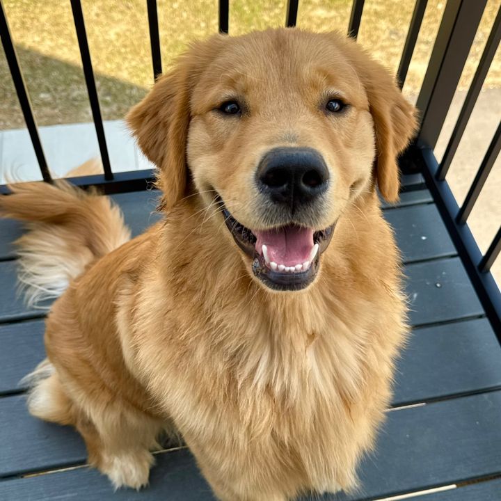 Teddy🧸