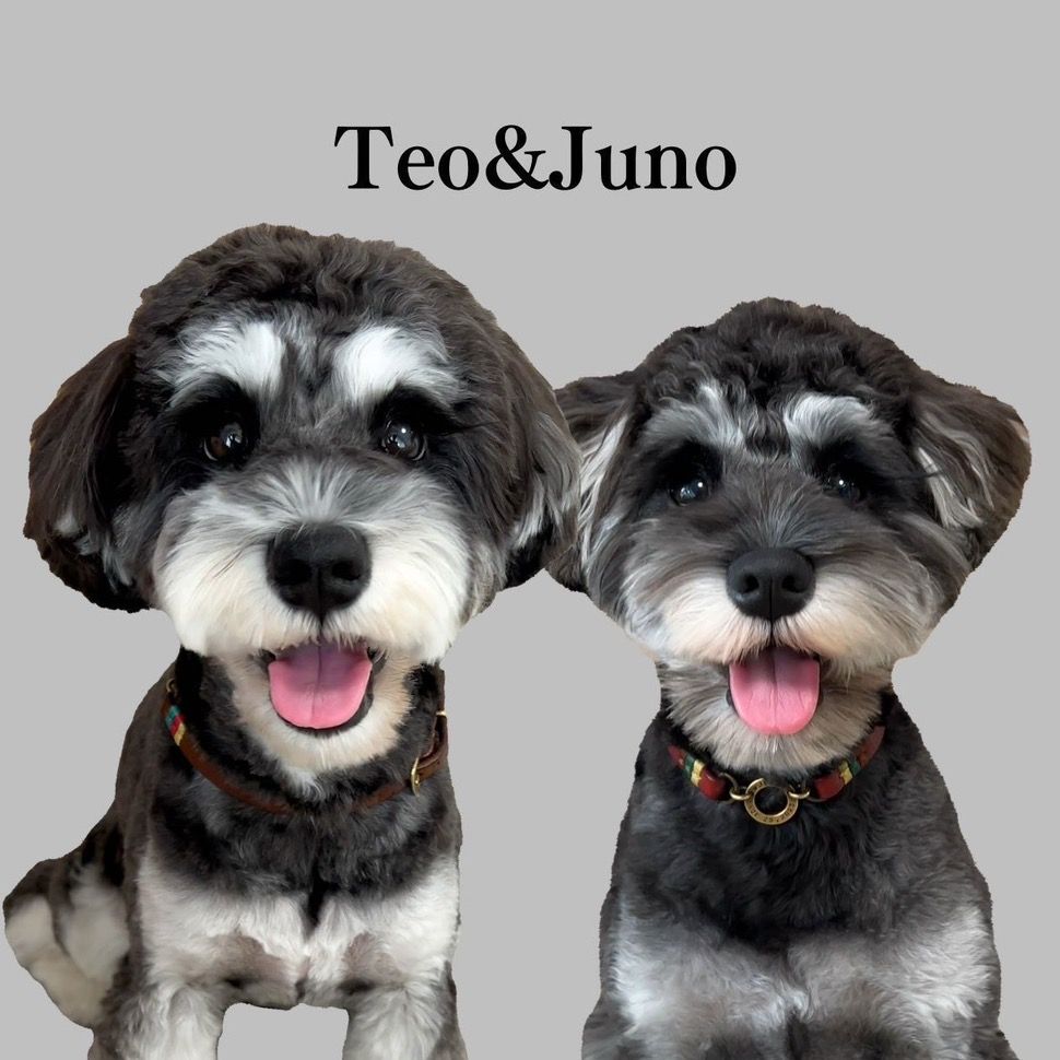 Teo&Juno